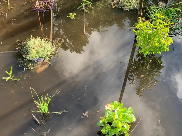 Moestuinsoepje op de ontmoetingsplek 'Tuin met Karakter'